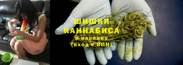 сатива Арсеньев