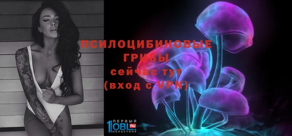 2c-b Аркадак