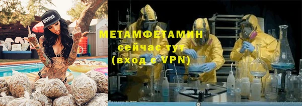 сатива Арсеньев