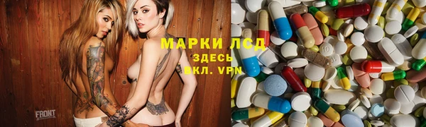 сатива Арсеньев