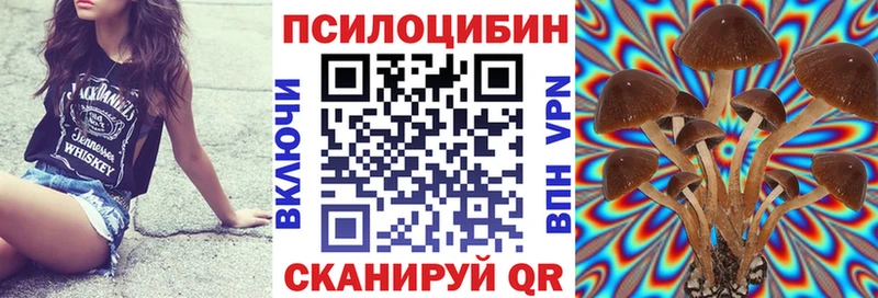 наркошоп  Белозерск  блэк спрут вход  Галлюциногенные грибы Cubensis 
