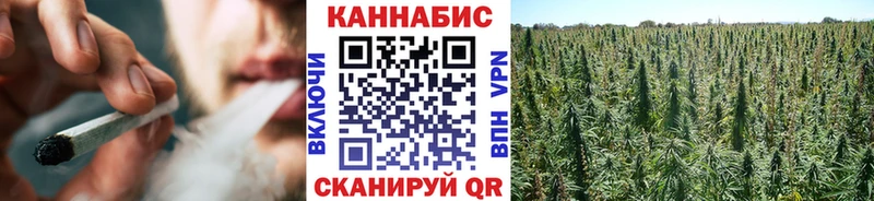 Конопля SATIVA & INDICA  OMG как зайти  Белозерск  купить наркоту 